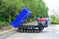 Maszyny rolnicze 3,5 tony wóz przewracający ciężarówkę lekką hydrauliczną z silnikiem Diesla