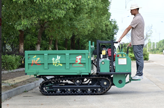 Samojezdny crawler napędzany GF1000 Mini Dumper dostępny w sprzedaży